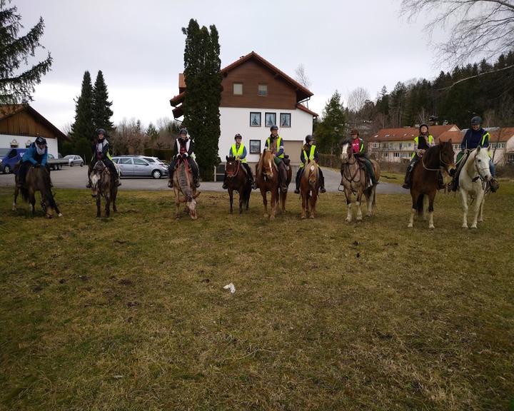 Rigi Alm